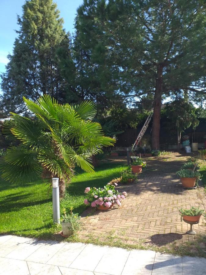 Antica Cascina B&B Borghetto Lodigiano Luaran gambar
