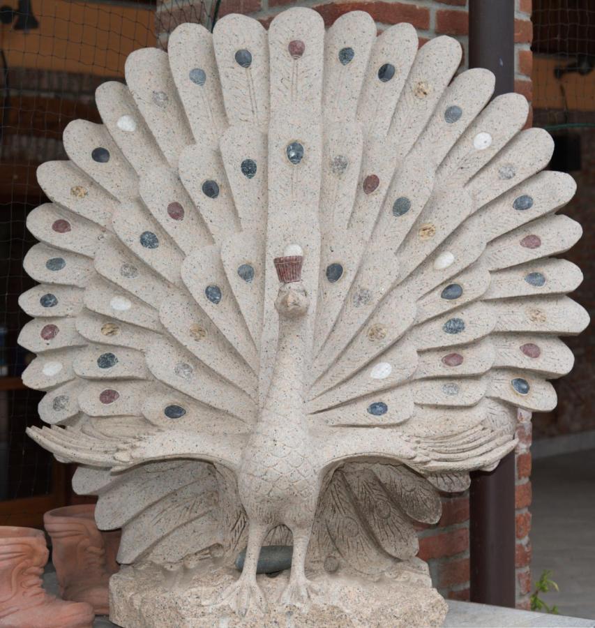 Antica Cascina B&B Borghetto Lodigiano Luaran gambar